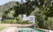 Pomegranates & Palms 4