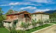 The Vineyard Dreams 6