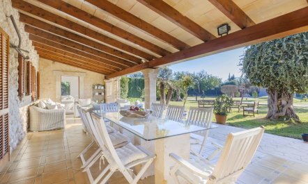 Dreams Set in Stone 1