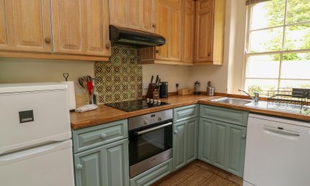 Bluebells in Spring 6