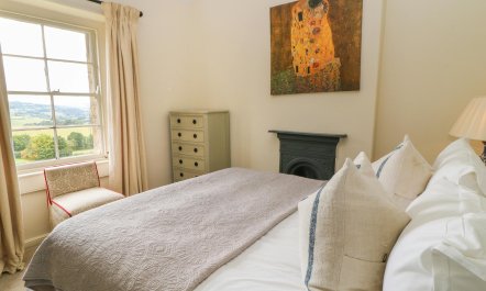 Bluebells in Spring 7