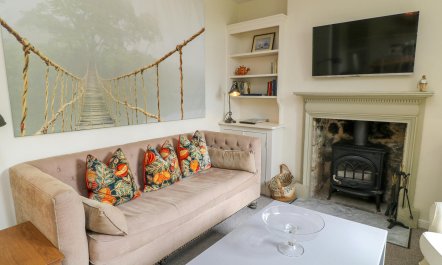 Bluebells in Spring 2