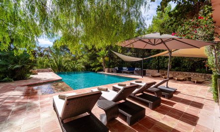 The Salt of the Sea 1