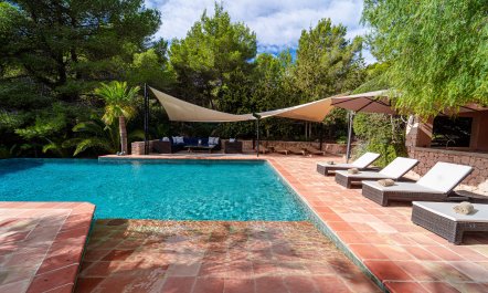 The Salt of the Sea 4