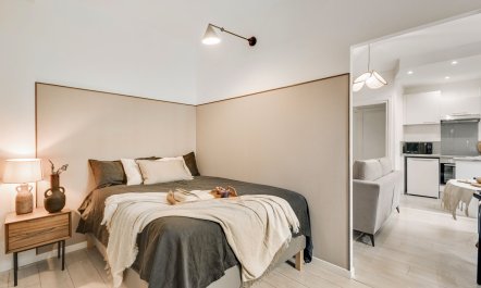 An Air of Elegance 7