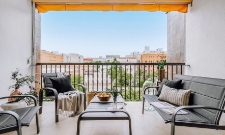 A Madrid Delight