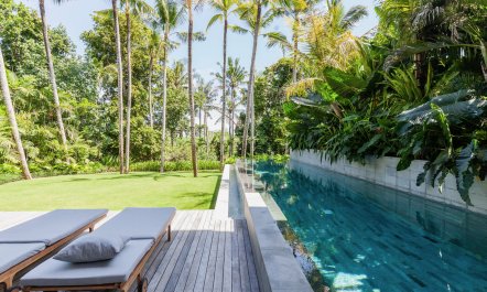 The Morning Dreamer