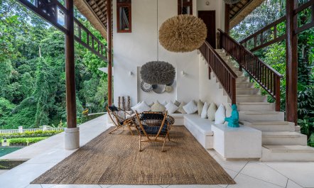 Beauty in the Jungle 1