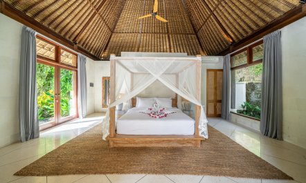 Beauty in the Jungle 5