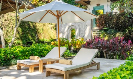 Beauty in the Jungle 3