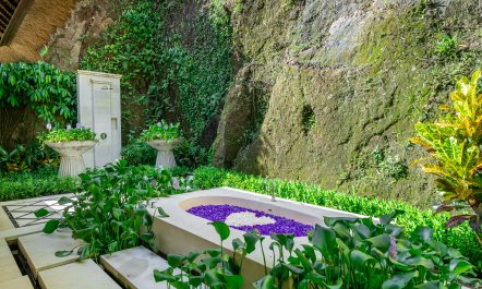 Beauty in the Jungle 1