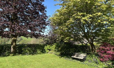 Hare and Hounds, Exton 1