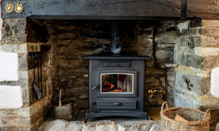 Deep in the Countryside 5