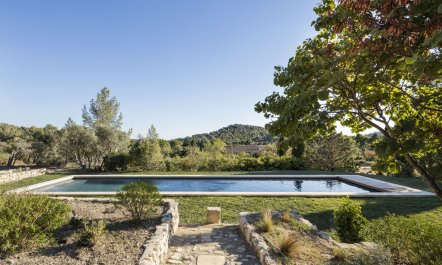 The Gem of Provence 1