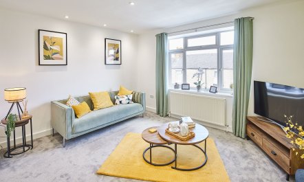 Dandelion & Bumblebee