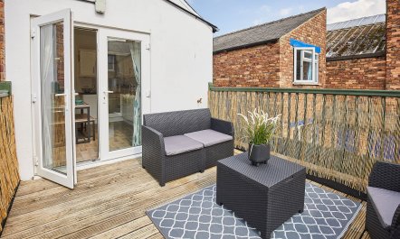 Dandelion & Bumblebee 1