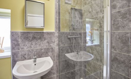 Dandelion & Bumblebee 9