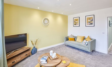 Dandelion & Bumblebee 2