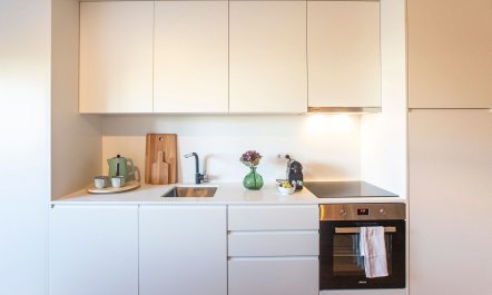 The Eucalyptus Leaf 8