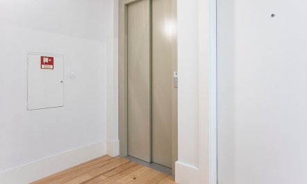 The Eucalyptus Leaf 6