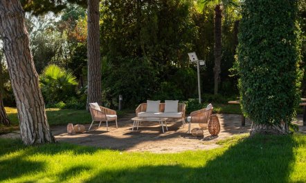 The Mountain Hideout 7