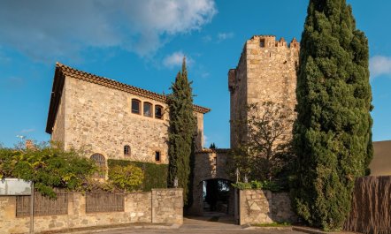 The Mountain Hideout 1