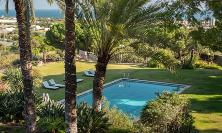 The Mountain Hideout 2