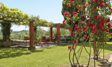 The Tuscan Library 5