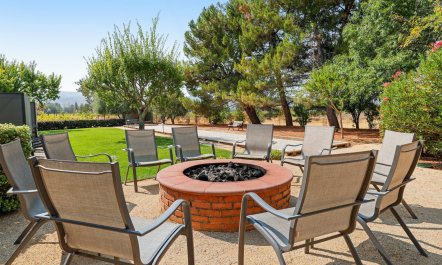 Large Glass of Red 3