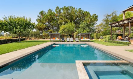 Large Glass of Red 1