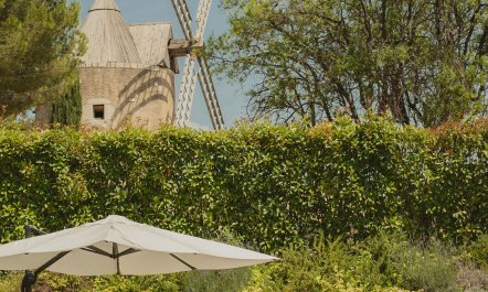 Proven&ccedil;al Charm 0