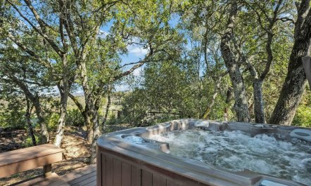 Wine Country Rhapsody 1