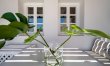 Monstera Leaf 4