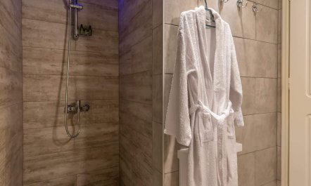 It's in the Vineyards 8