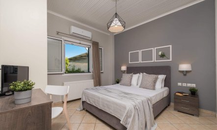 It's in the Vineyards 6