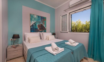 It's in the Vineyards 9