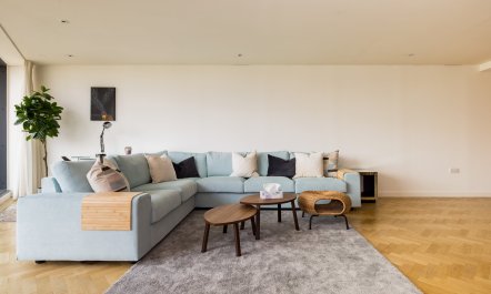 Paddington Perfection 2