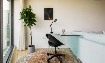 Paddington Perfection 4