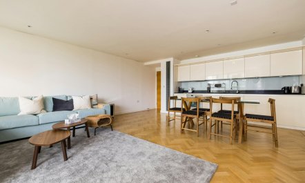 Paddington Perfection 5