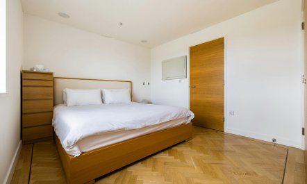 Paddington Perfection 9