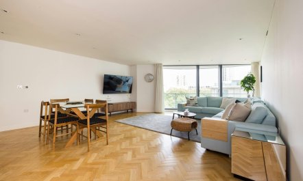 Paddington Perfection 3