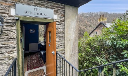 The Penthouse at Woodlands 4