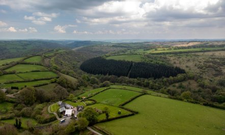 Jasper and Smiddy - joint booking 3