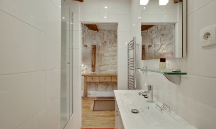 Parisian Stone 8