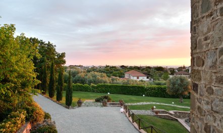 Italian Grace 3