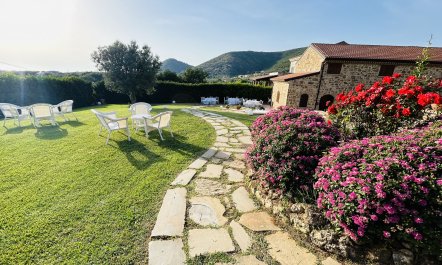 Italian Grace 8