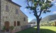 Italian Grace 7