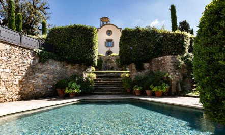 Renaissance in Bloom 1