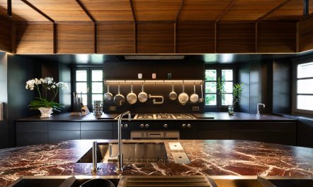 Renaissance in Bloom 5