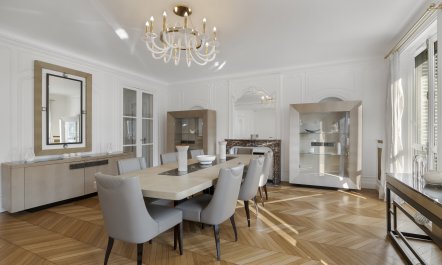 The Parisian Belle 1